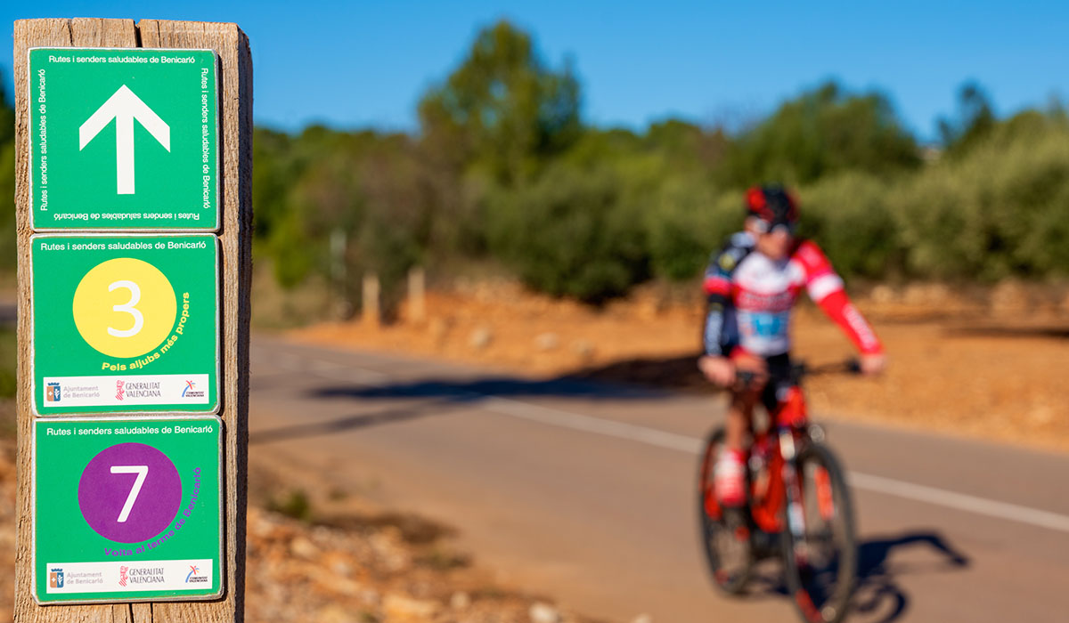 Rutes de cicloturisme a la carretera a Benicarló, Peníscola, Serra d'Irta.