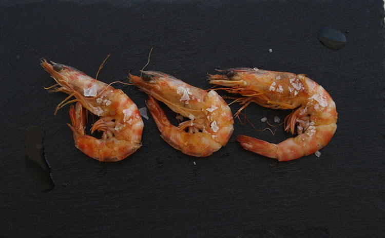 Festival gastronòmic del llagostí de Vinaròs.