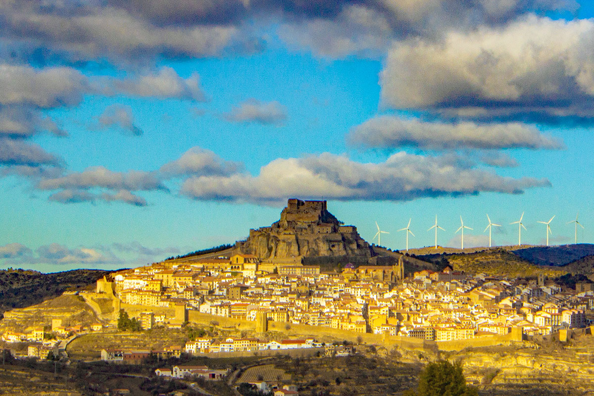 Morella.