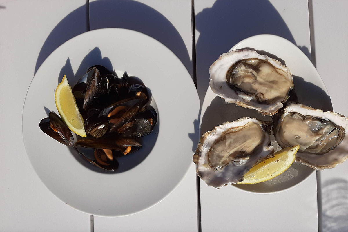 Musclos i ostres, gastronomia Delta de l'Ebre.