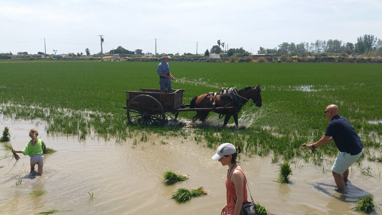 Inspiramar, routes near the Ebro Delta from Peñíscola.